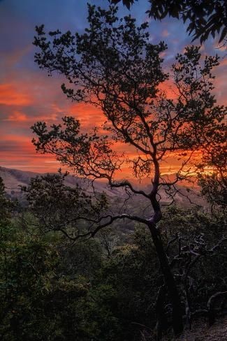 10:11:23 GMT-0500 (CDT)