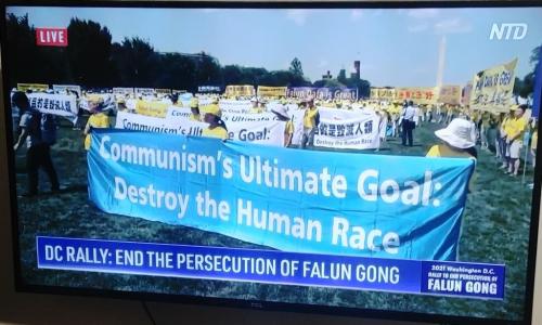 20210716_113406_HDR_(1)