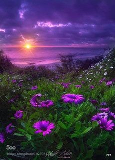 09:36:18 GMT-0500 (CDT)