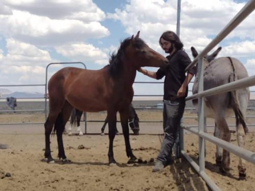 received_4274810462575222