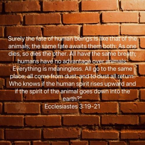 20:52:15 GMT-0600 (MDT)