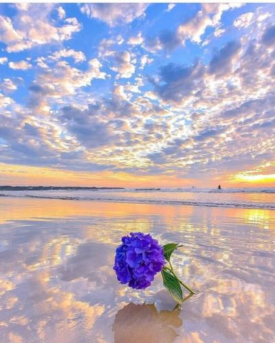 226388770_380615550108791_2365770148184771504_n