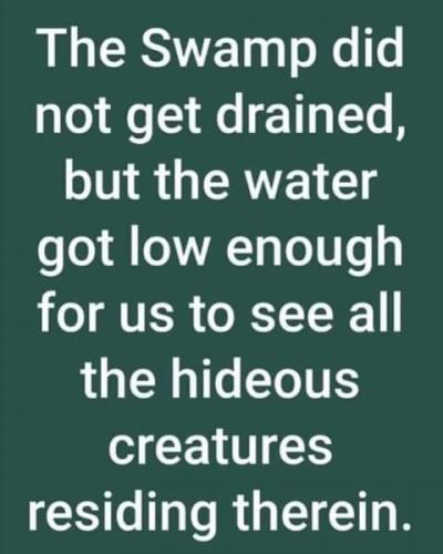 FB_IMG_1626068569204