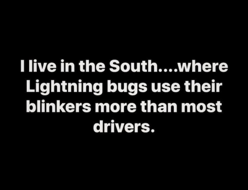 229078814_2950283568557928_6441019830771607323_n
