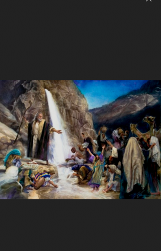 Screenshot_20210705-145232