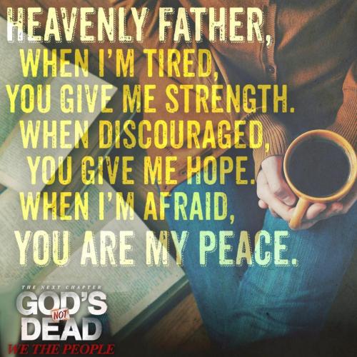 217582623_4448538631916551_1832392599275578734_n