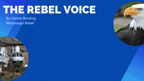 Rebel Voice