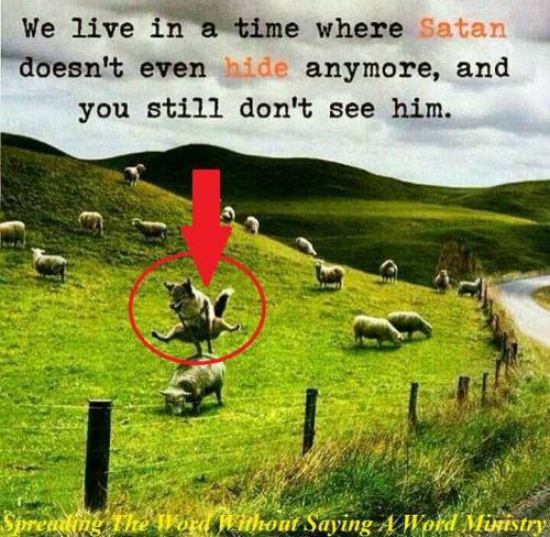 20046544_1471450399603753_961007564659764724_n