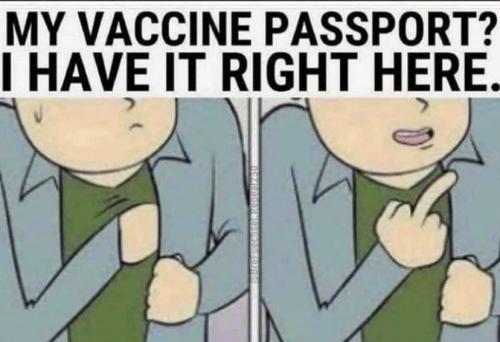 my vaccine pass