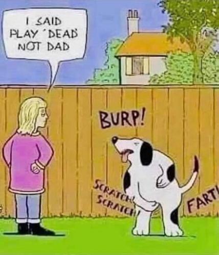 218316281_4124592090960778_2362071641208558368_n