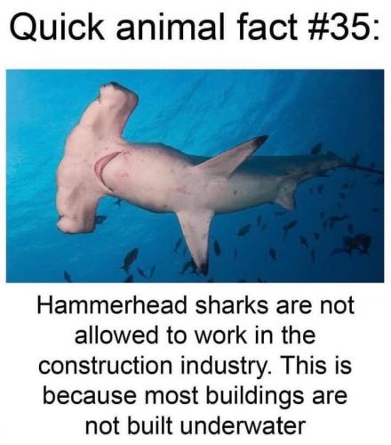 FB_IMG_1627731917507