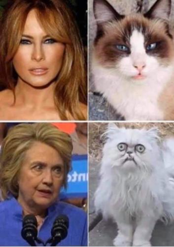 FB_IMG_1626034020831