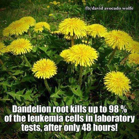 06:43:02 GMT-0600 (MDT)