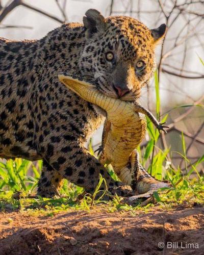 122119173_10214325270085804_8592882973249952454_n