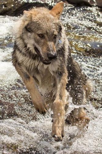 6c93fe7d00129da14ac5dc70124e1fe9