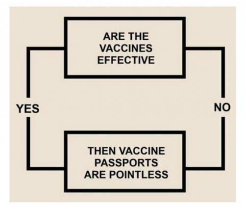 Screenshot_20210722-202557_Not the Bee