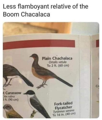 FB_IMG_1625469020360