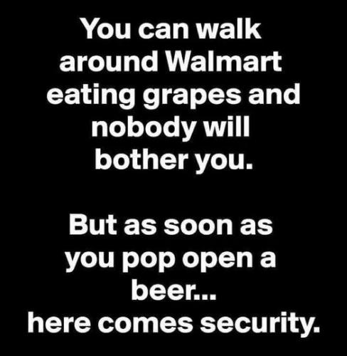 206573593_1895807997263889_306265705688480686_n