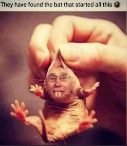 16:36:19 GMT-0500 (CDT)