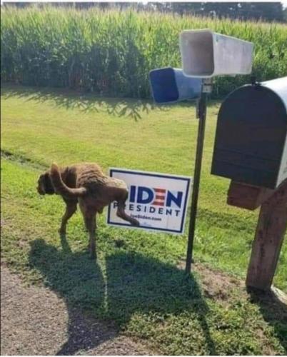 Screenshot_20210714-223709_Wimkin Uncensored