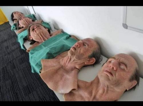 FB_IMG_1615525112293