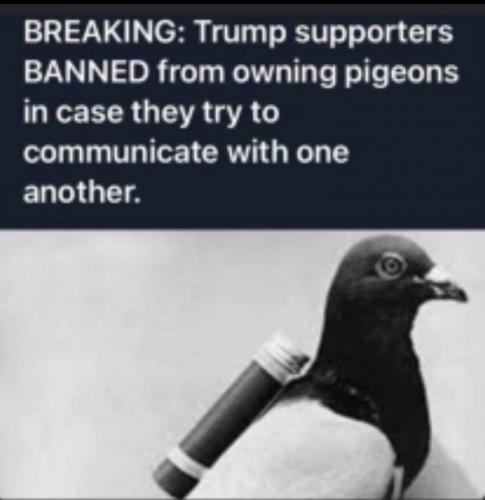 2021-07-12.16.00.043