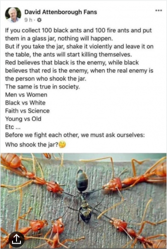 Screenshot_20210728-182903