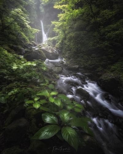 218325894_3943699045740023_4271420134444119899_n