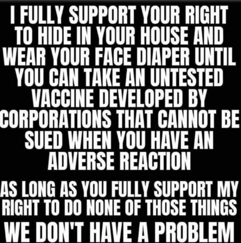 117599829_2020481364750934_4269726529941378388_n