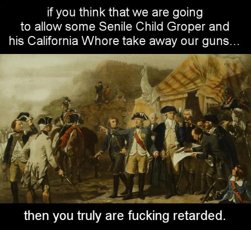 gun control195