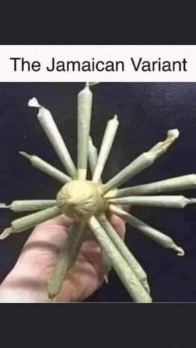 FB_IMG_1627588490151