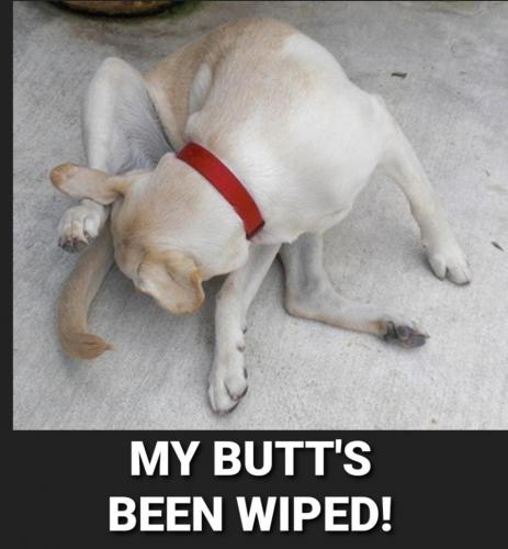 Screenshot_20210726-213854_DuckDuckGo