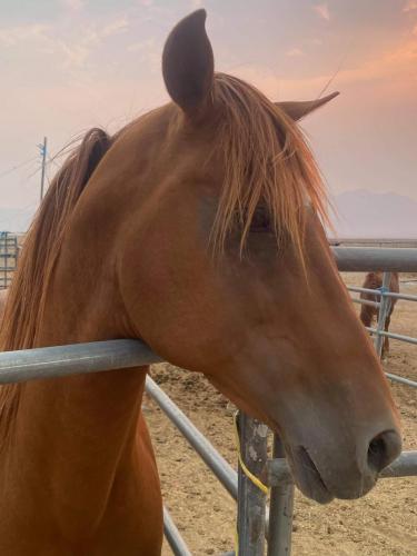 received_1028179024652249