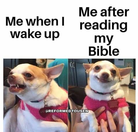 564431FB-8C31-4AFA-ABEA-16C1518BAF01