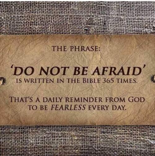 FB_IMG_1573869486333