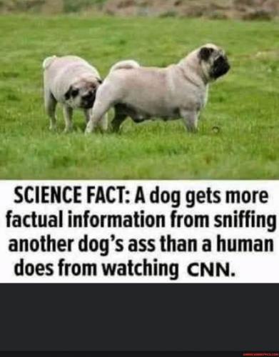 17:02:59 GMT-0400 (EDT).image