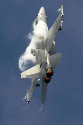 215067717_4177023729050482_7154698520926439569_n