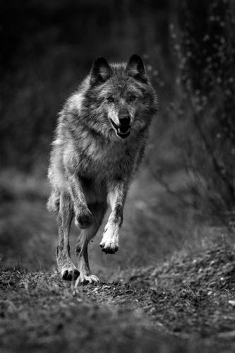 d79014f4b226ee4bffc73f4ece0cd287