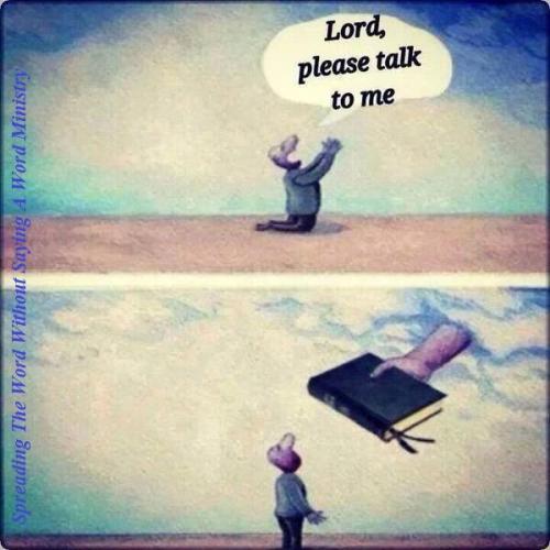 10153717_650451571720644_9222168347060321720_n