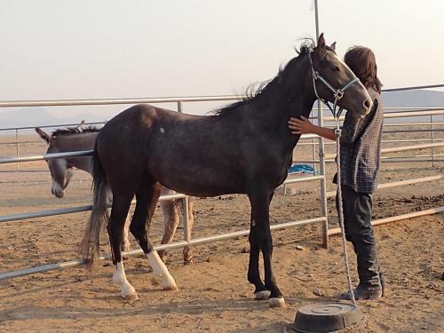 IMG_20210715_185235568