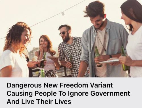 photo_2021-07-28_14-47-21