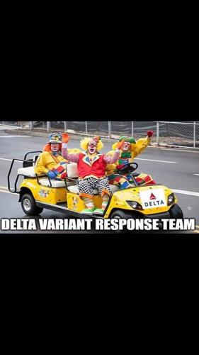 delta variant response