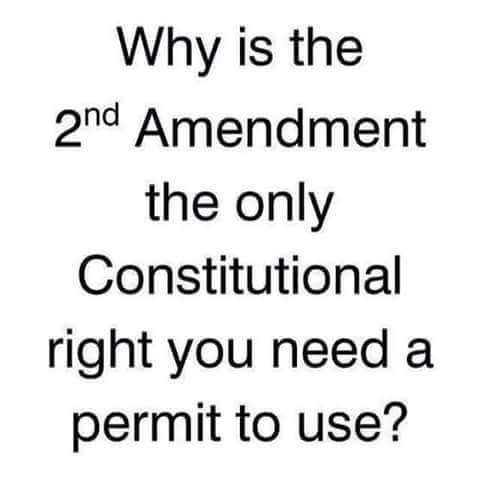 2nd Amendment008