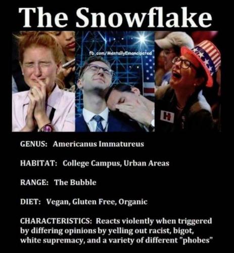 00:01:37 GMT-0700 (PDT).image