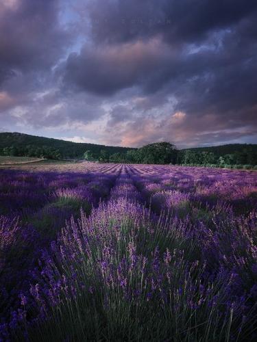 213031412_297720571778594_3081921211571375541_n