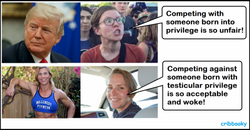 transgender_vs_white_privilege
