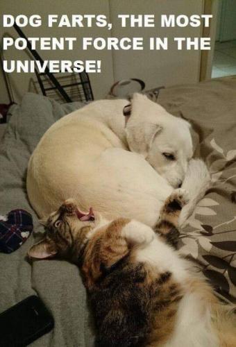 17:02:33 GMT-0700 (PDT)