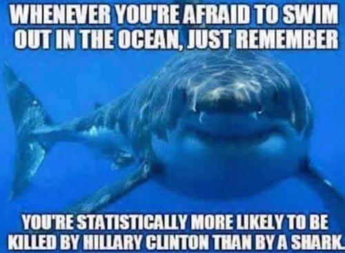 hillary shark