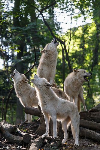 b59f13be68e0c60b24368f7e8ce1c69d