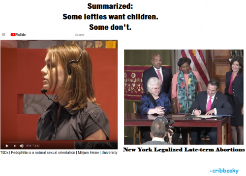 some_want_kids_some_dont1